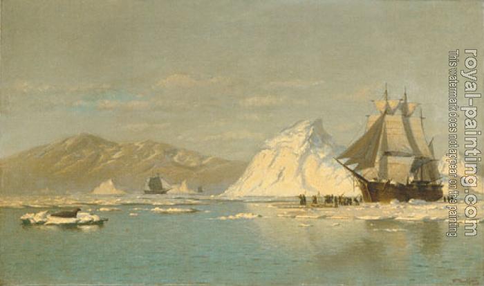 William Bradford : Off Greenland